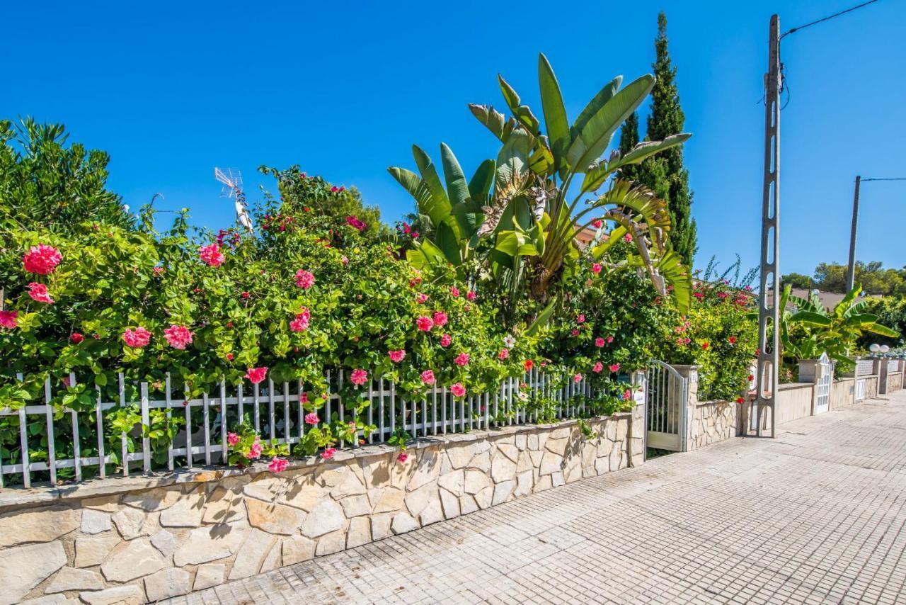 Hébergement de vacances Ideal Mallorca - Adelfa *
